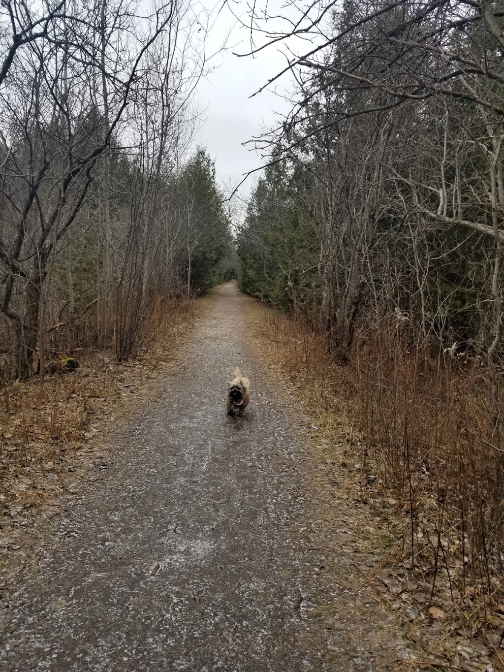 Smith Property Loop Hiking Trail | Smith Property Loop, Puslinch, ON N1L 1L1, Canada