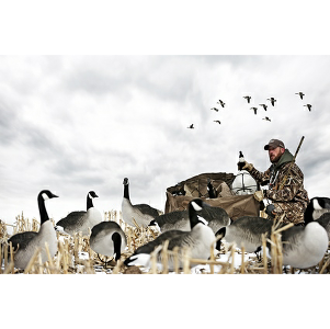 Canadian Waterfowl Supplies | 81 Oakland Rd, Scotland, ON N0E 1R0, Canada | Phone: (855) 434-3825