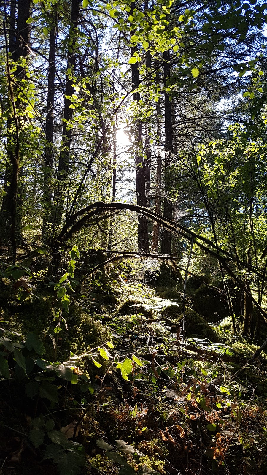 Mount Work Regional Park | Highlands, BC V9E 1G8, Canada