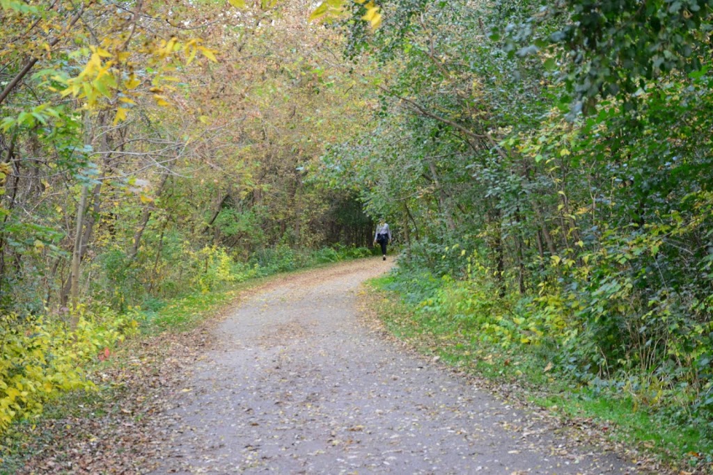 Havenbrook Park | 15 Havenbrook Blvd, North York, ON M2J 1A3, Canada