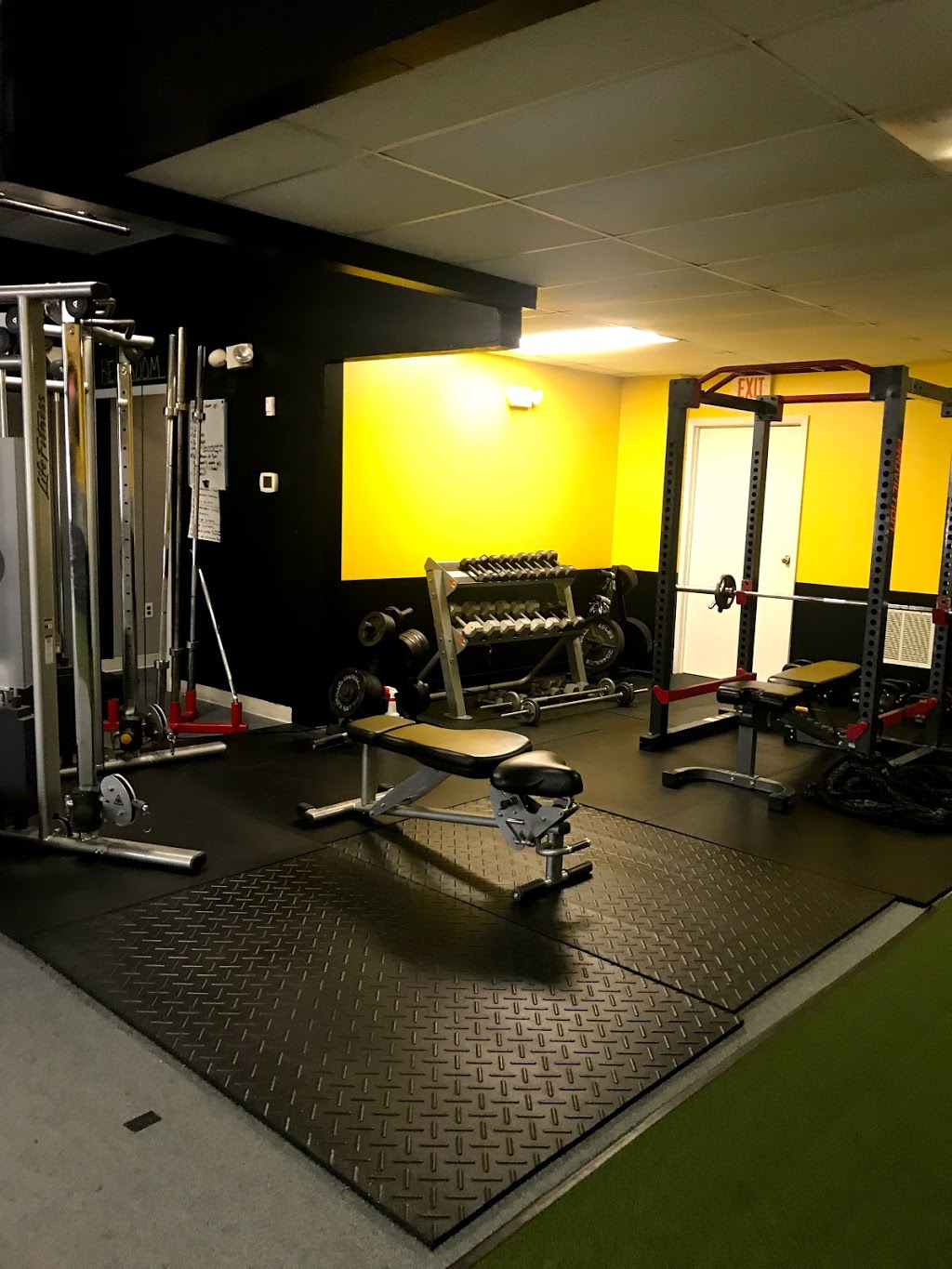 Brick House Fitness | 4751 Southwestern Blvd, Hamburg, NY 14075, USA | Phone: (716) 574-7219
