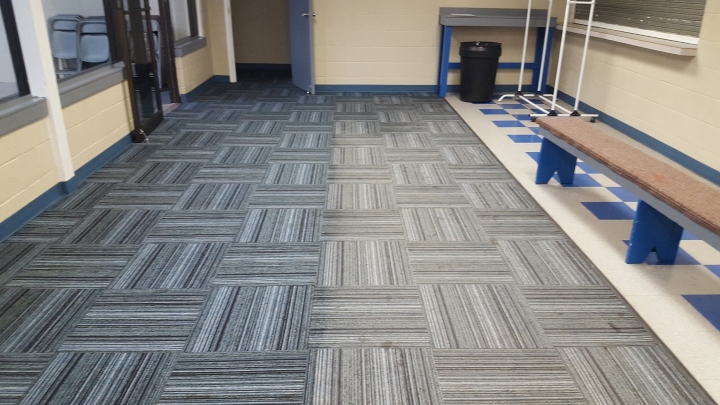 Revolution Carpet Care | 2735 215 St, Bellevue, AB T0K 0C0, Canada | Phone: (403) 562-7072