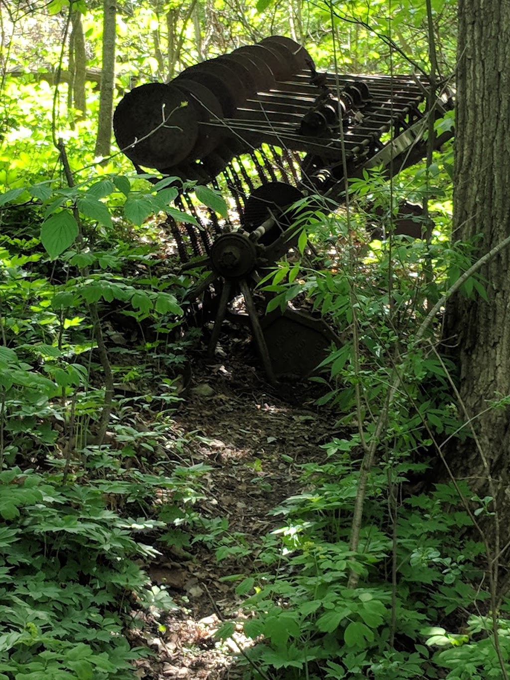 Fprest | 1A6, William Granger Greenway, Woodbridge, ON L4L 1A6, Canada