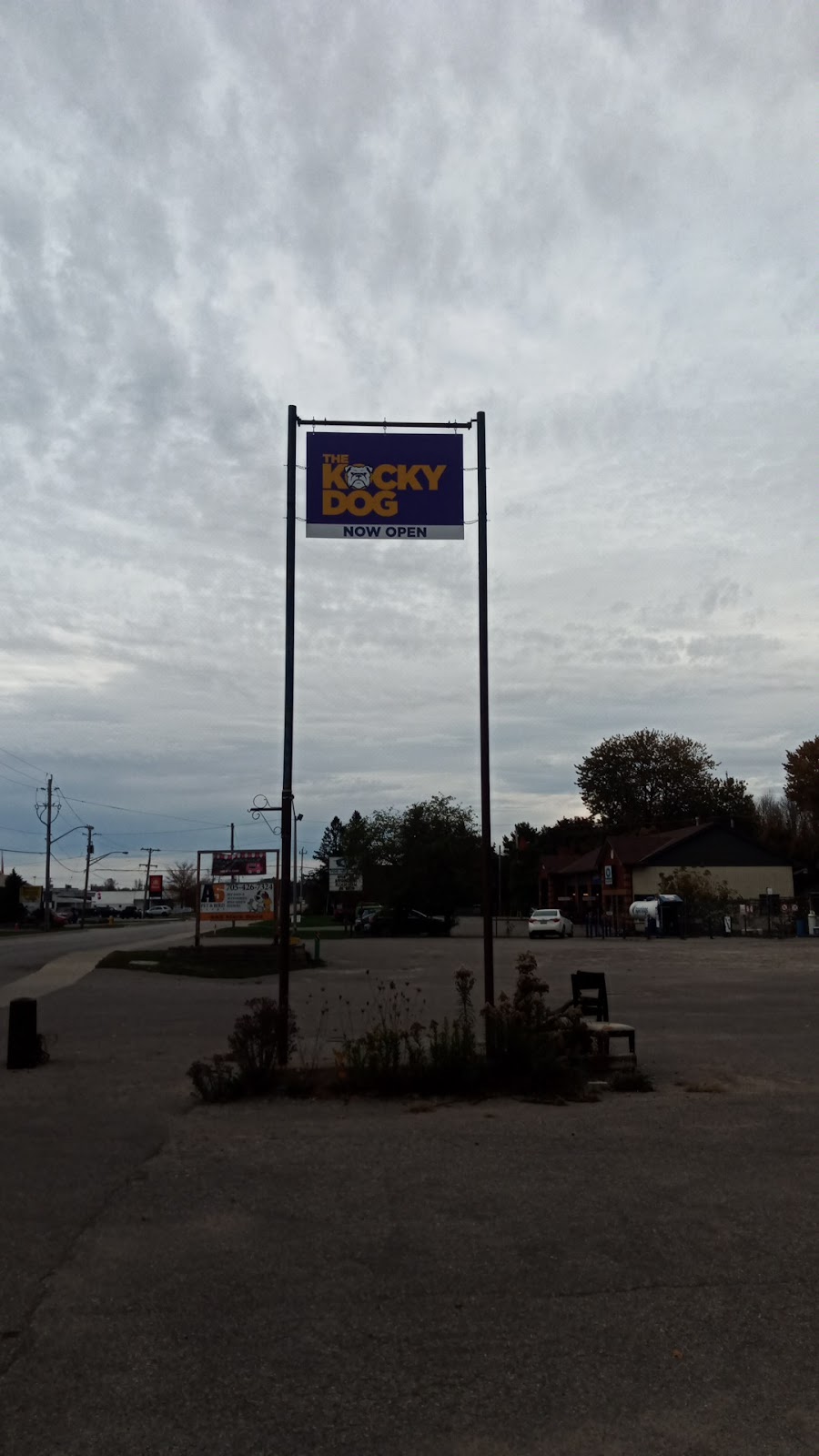 The Kocky Dog Inc | store | 435 Mara Rd, Beaverton, ON L0K 1A0, Canada | 7055046996 OR +1 705-504-6996