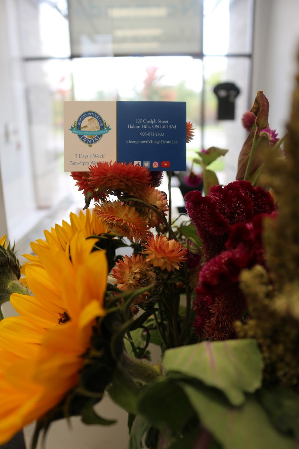 Georgetown Village Dental | 120 Guelph St, Georgetown, ON L7G 4A4, Canada | Phone: (905) 873-7300