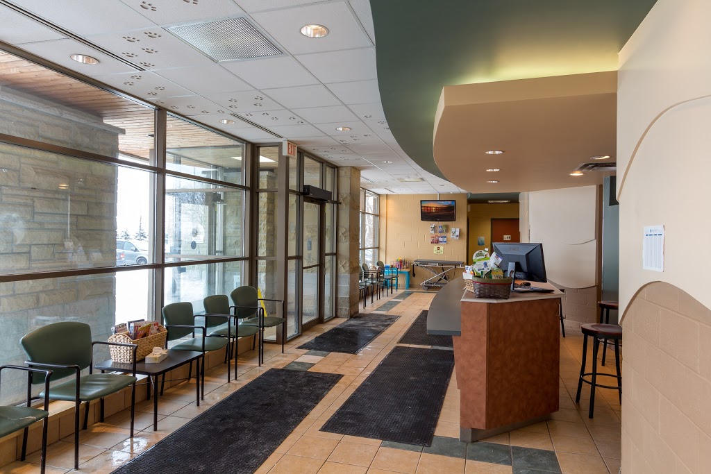 VCA Canada Alta Vista Animal Hospital | 2616 Bank St, Gloucester, ON K1T 1M9, Canada | Phone: (613) 731-6851