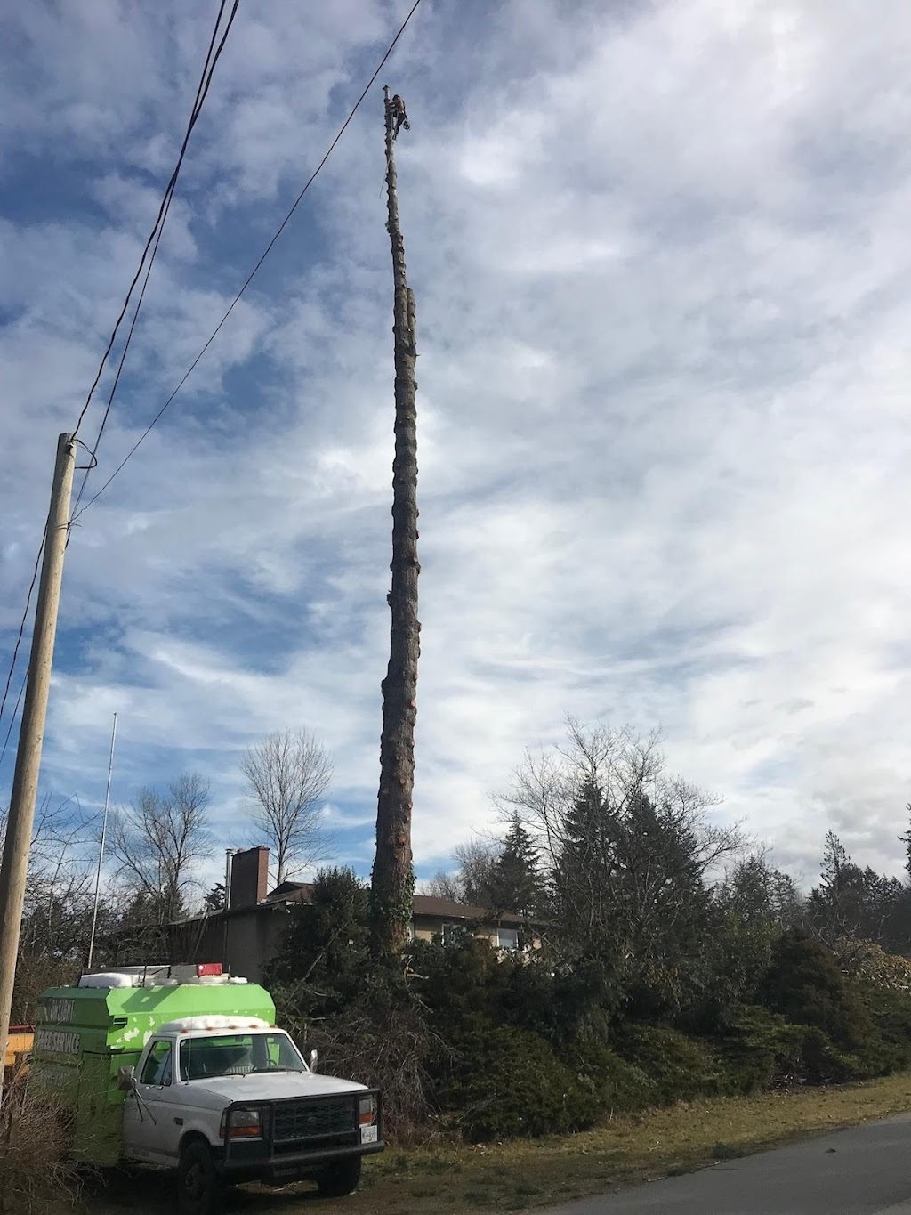 Onsight Tree Services | 5378 Winchester Rd, Sahtlam, BC V9L 6G1, Canada | Phone: (250) 893-0347