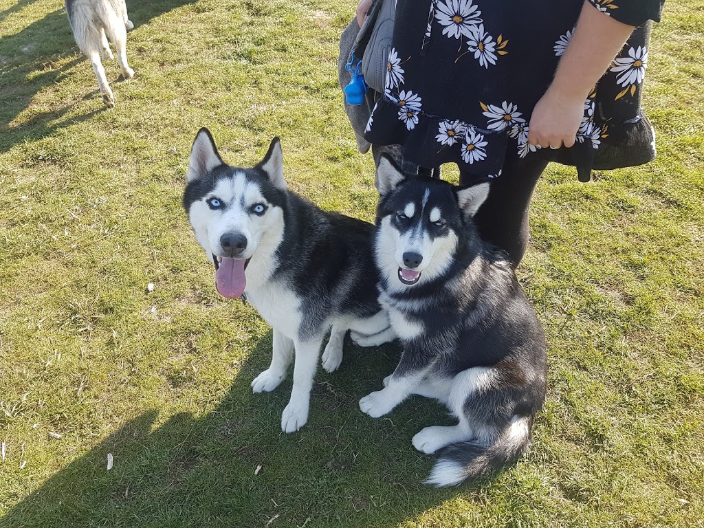 North Glenmore Dog Park | 2150 Glenmore Rd N, Kelowna, BC V1V 2C5, Canada | Phone: (250) 469-8503