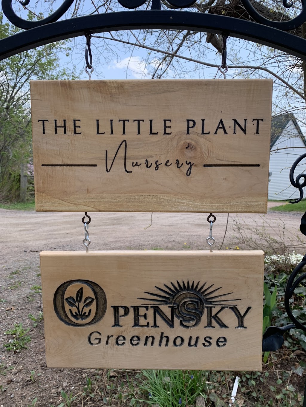 The Little Plant Nursery | 19 School Ln, Sackville, NB E4L 3J8, Canada | Phone: (506) 874-5982