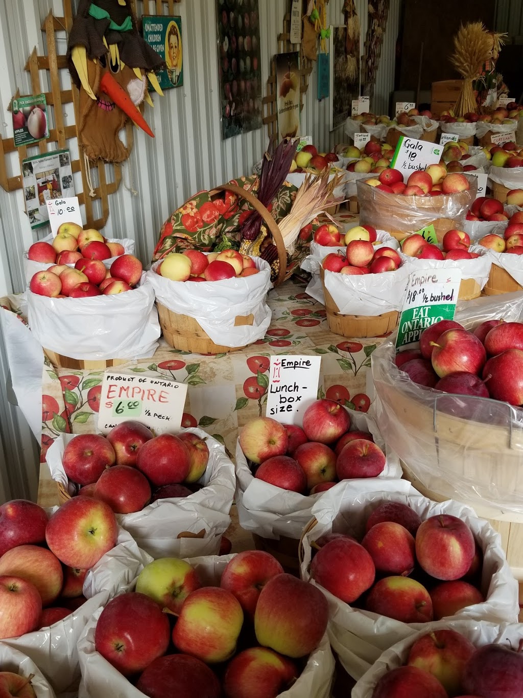 Williams Orchard | 10101 Hume Ct, Milton, ON L9T 2X9, Canada | Phone: (905) 876-4220