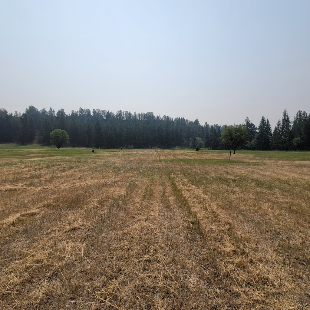Setetkwa Golf Course RV Park | Stoddart Creek Rd, Radium Hot Springs, BC V0A 1M0, Canada | Phone: (250) 347-9401