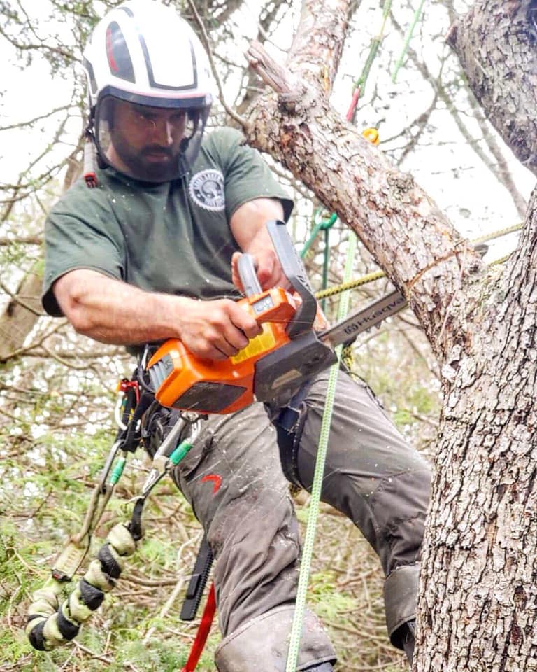 Great Lakes Tree Experts (4) | 286 Balmy Beach Rd, Owen Sound, ON N4K 5N4, Canada | Phone: (226) 668-4961
