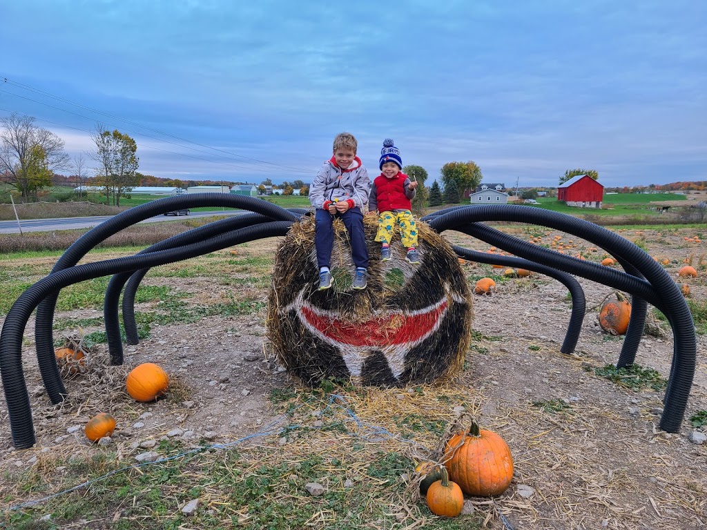 Vanderview Farms | 2200 County Rd 45, Norwood, ON K0L 2V0, Canada | Phone: (705) 639-5777