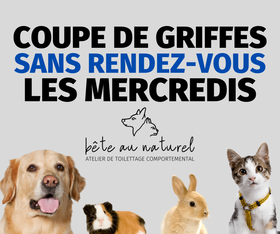 Bête au naturel | 131 2e Avenue, Saint-Jean-sur-Richelieu, QC J2X 2A8, Canada | Phone: (514) 652-2526