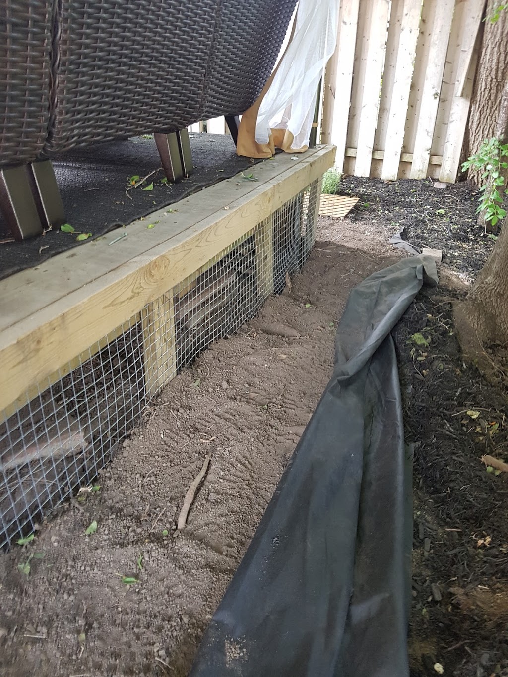 Durapest Wildlife Removal and Pest Control | 3 Swales Crescent, Brampton, ON L6R 0G4, Canada | Phone: (905) 782-6332