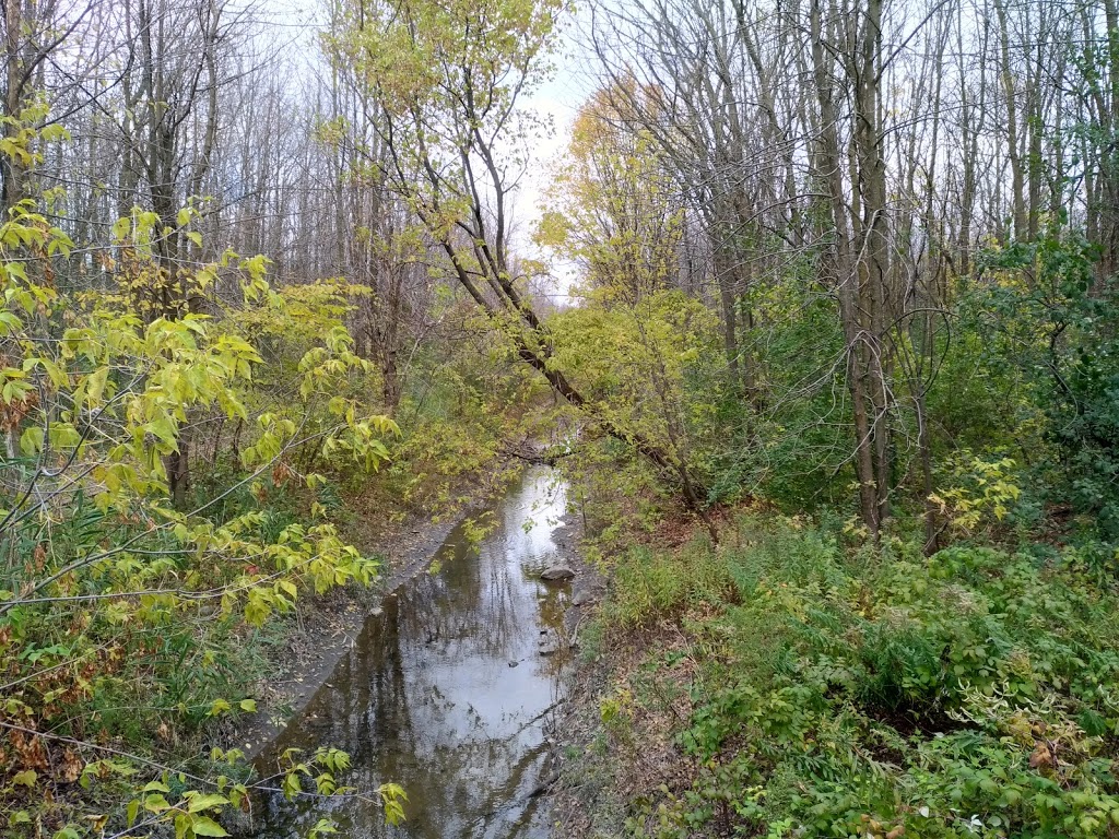 Boisé Du Tremblay - Longueuil, QC J4M 2N2, Canada