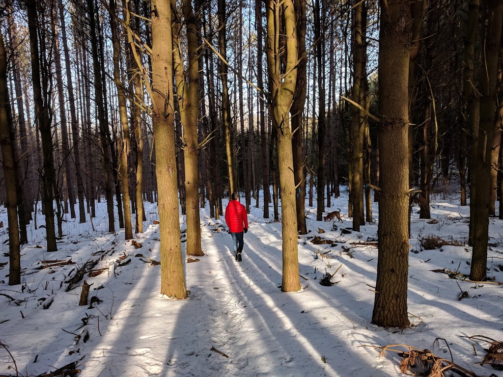 Goodwood Conservation Area | Cedar Valley, ON L0G 1E0, Canada