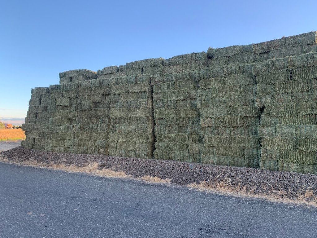 TNT Hay Sales | 40303 No 4 Rd, Abbotsford, BC V3G 2S2, Canada | Phone: (888) 802-3269