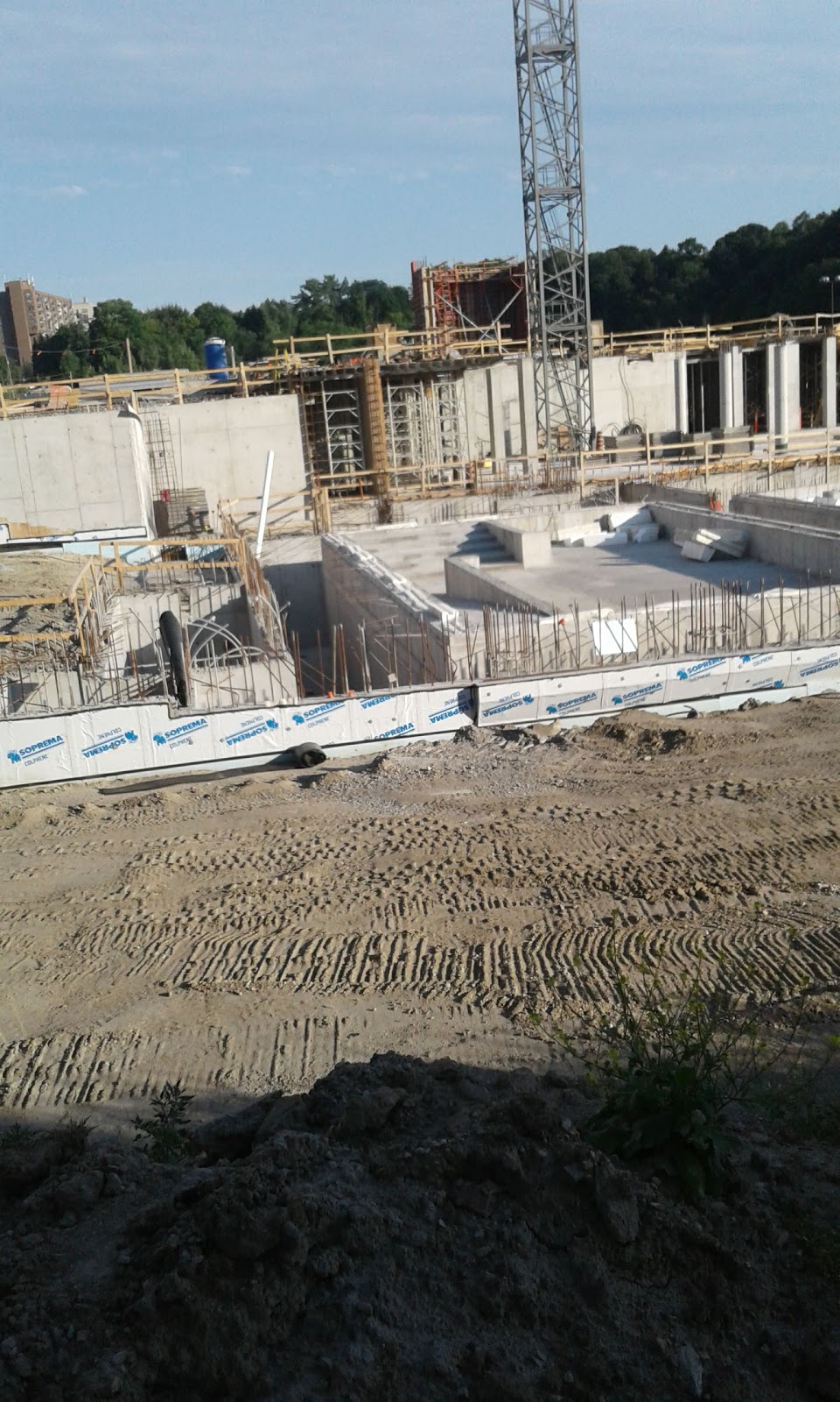 Prosserman JCC | 4588 Bathurst St, North York, ON M2R 3V2, Canada | Phone: (416) 638-1881