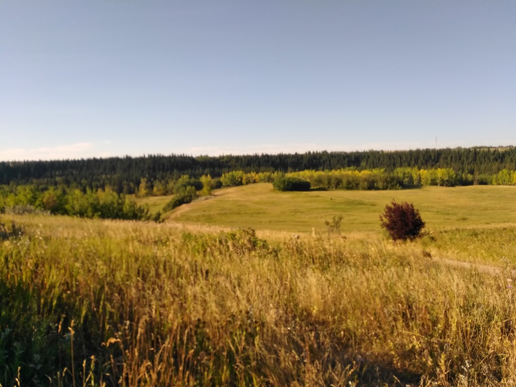 Edworthy Park | 5050 Spruce Dr SW, Calgary, AB T3C 3B2, Canada | Phone: (403) 268-2489