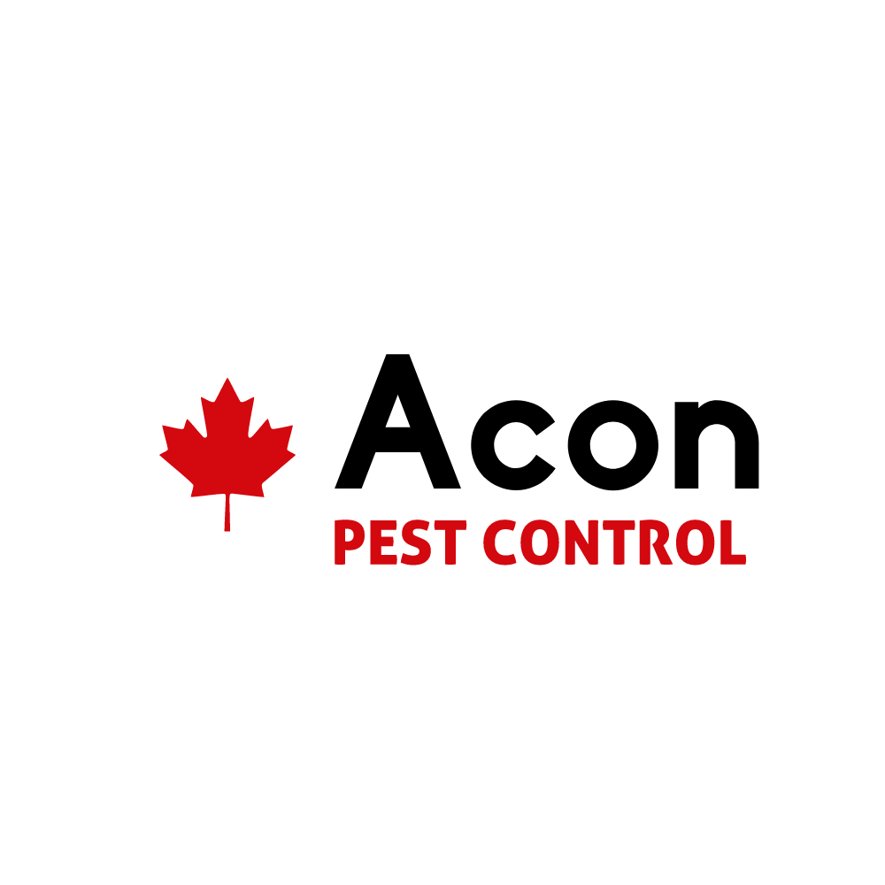 Acon Pest Control | 38 W Normandy Dr, Markham, ON L6B 0A6, Canada | Phone: (647) 562-7378