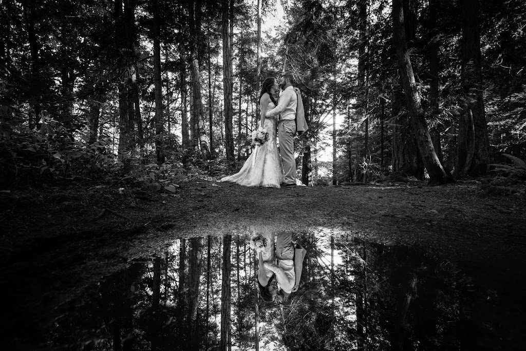 Meidany Photography / Videography | 1346 Munro Rd, North Saanich, BC V8L 5T8, Canada | Phone: (250) 857-3993