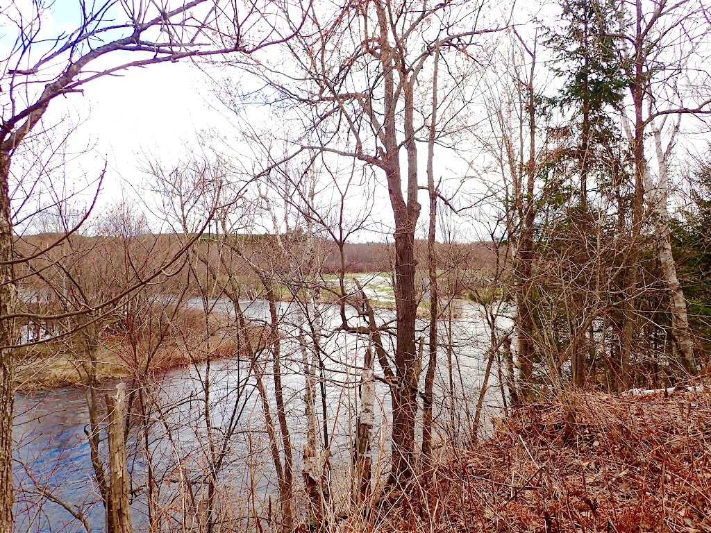 Domaine La Seigneurie de Lamoureux | rue Jasmine, Rang St Joseph, Sainte-Béatrix, QC J0K 1Y0, Canada | Phone: (514) 945-7456