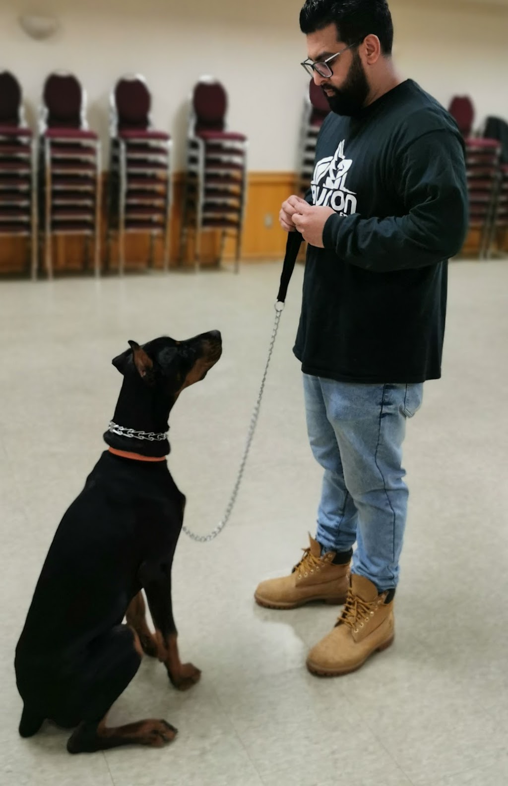 K9 Union Training Academy | 647 Crimson Crescent, Oshawa, ON L1J 8C9, Canada | Phone: (647) 889-4275