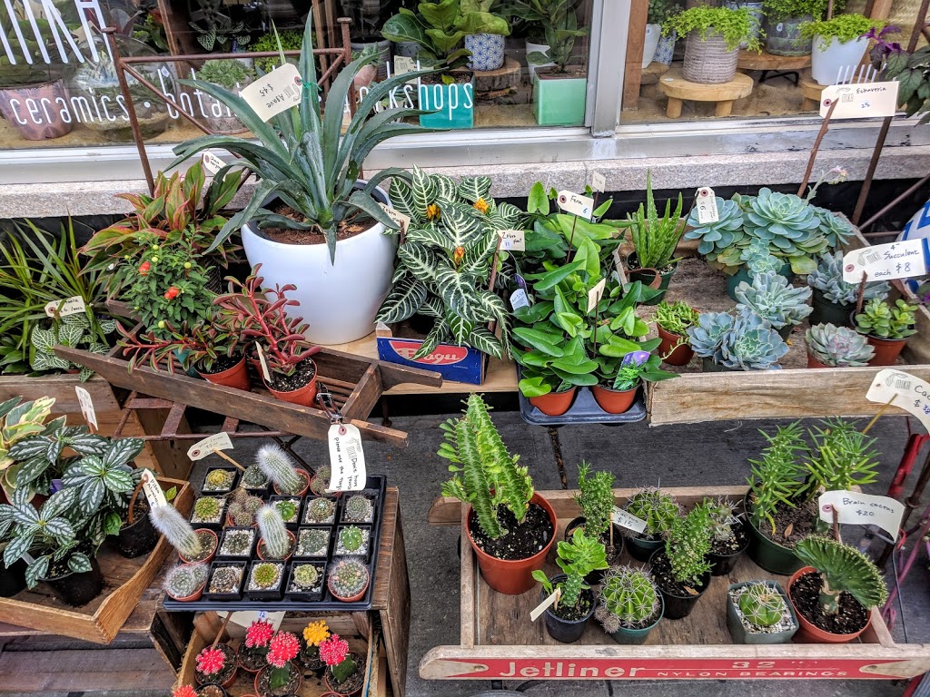 MIKA | 1593 Dundas St W, Toronto, ON M6K 1T9, Canada | Phone: (416) 885-2103