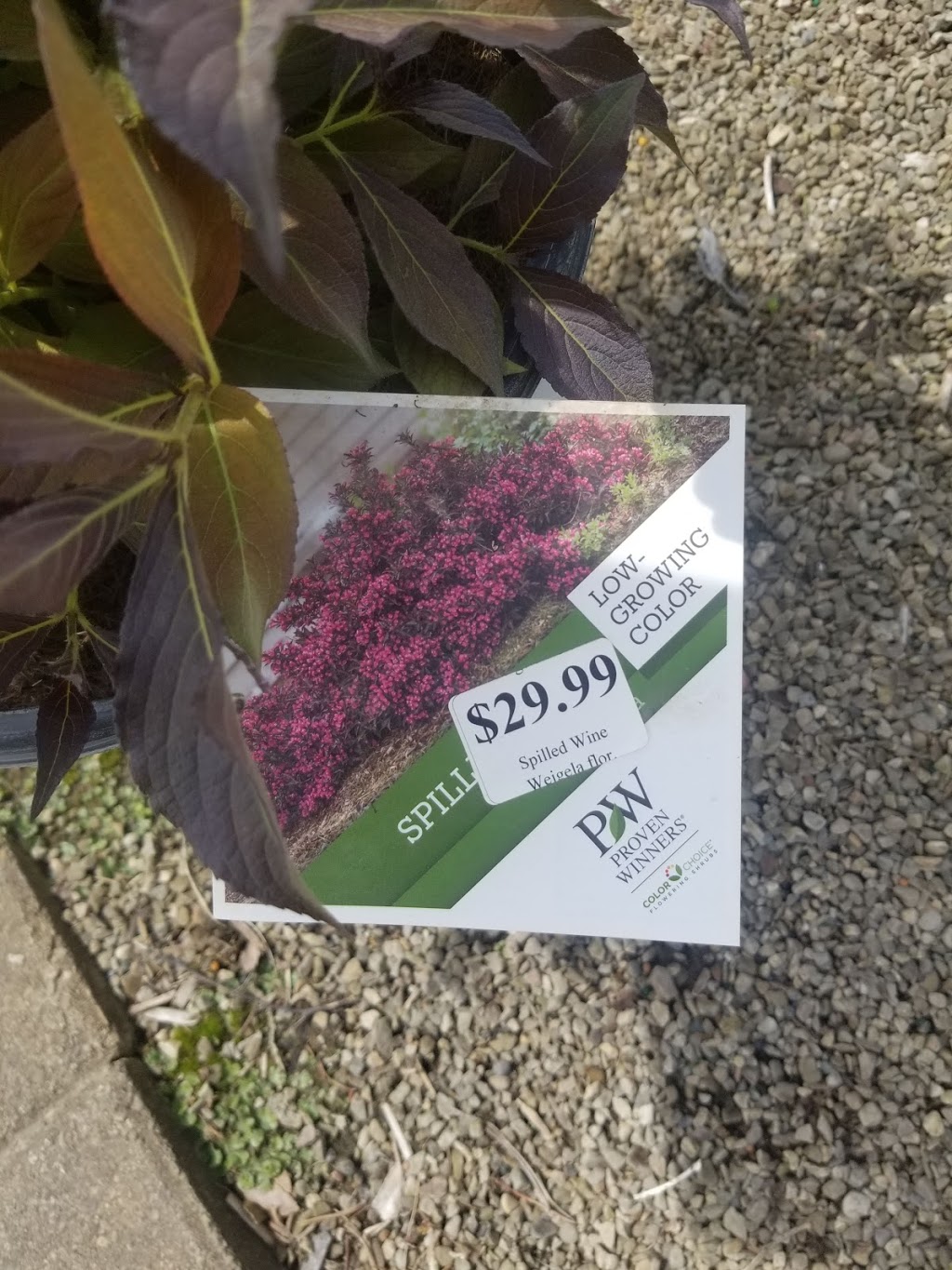 Cambridge Garden Centre | 1718 Morrison Rd, Cambridge, ON N1R 5S2, Canada | Phone: (519) 622-1173