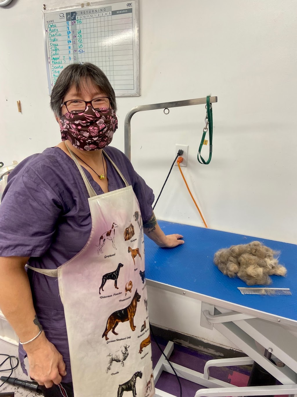 Pet Connection Pet Grooming | 1662 Valleyview Dr, Kamloops, BC V2C 4B5, Canada | Phone: (250) 372-3800