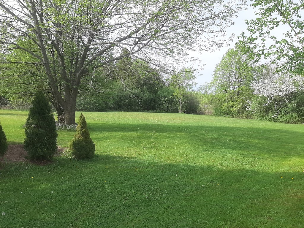 Steve King Property Services | 354 Lindsay St S, Lindsay, ON K9V 4R4, Canada | Phone: (705) 341-6463