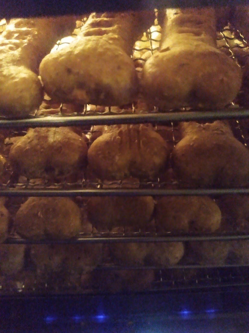 JRS Pet Bakery | 372 Pontypool Rd, Kawartha Lakes, ON L0A 1K0, Canada | Phone: (705) 341-8192