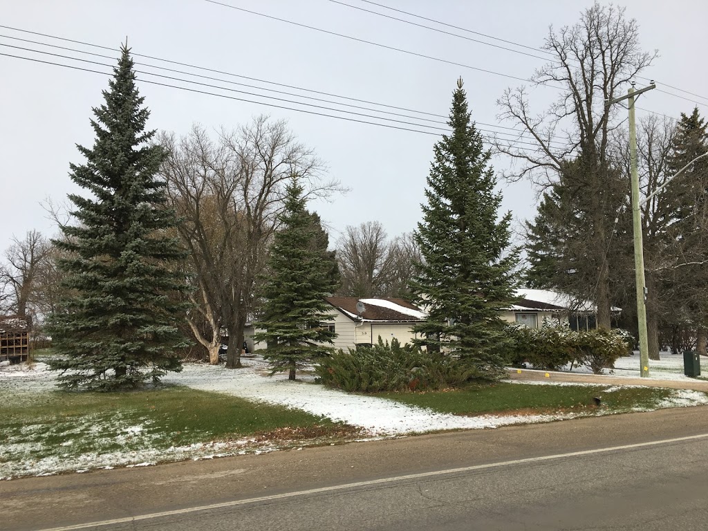 Abe G. Penner Park | 5 Park Rd, Blumenort, MB R0A 0C0, Canada
