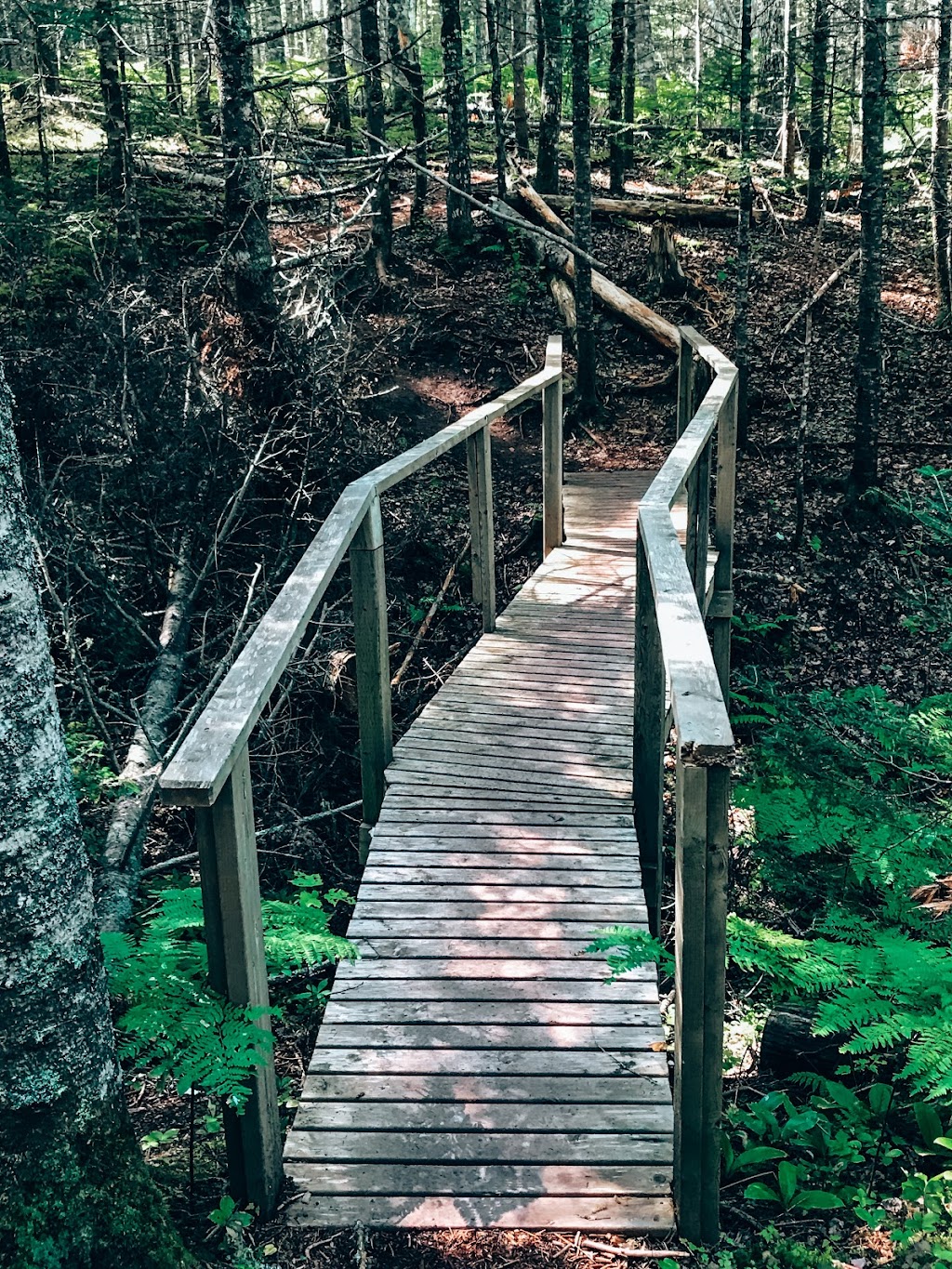 Winter River Hiking Trail | E Suffolk Extension, Prince Edward Island C1C 0A7, Canada | Phone: (902) 894-7535