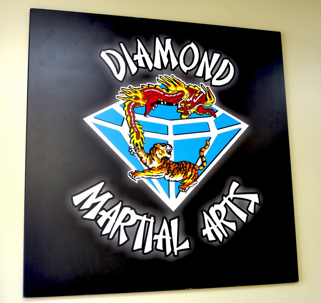 Diamond Martial Arts | 1733 Industrial Rd, Cambridge, ON N3H 5G7, Canada | Phone: (519) 897-0832