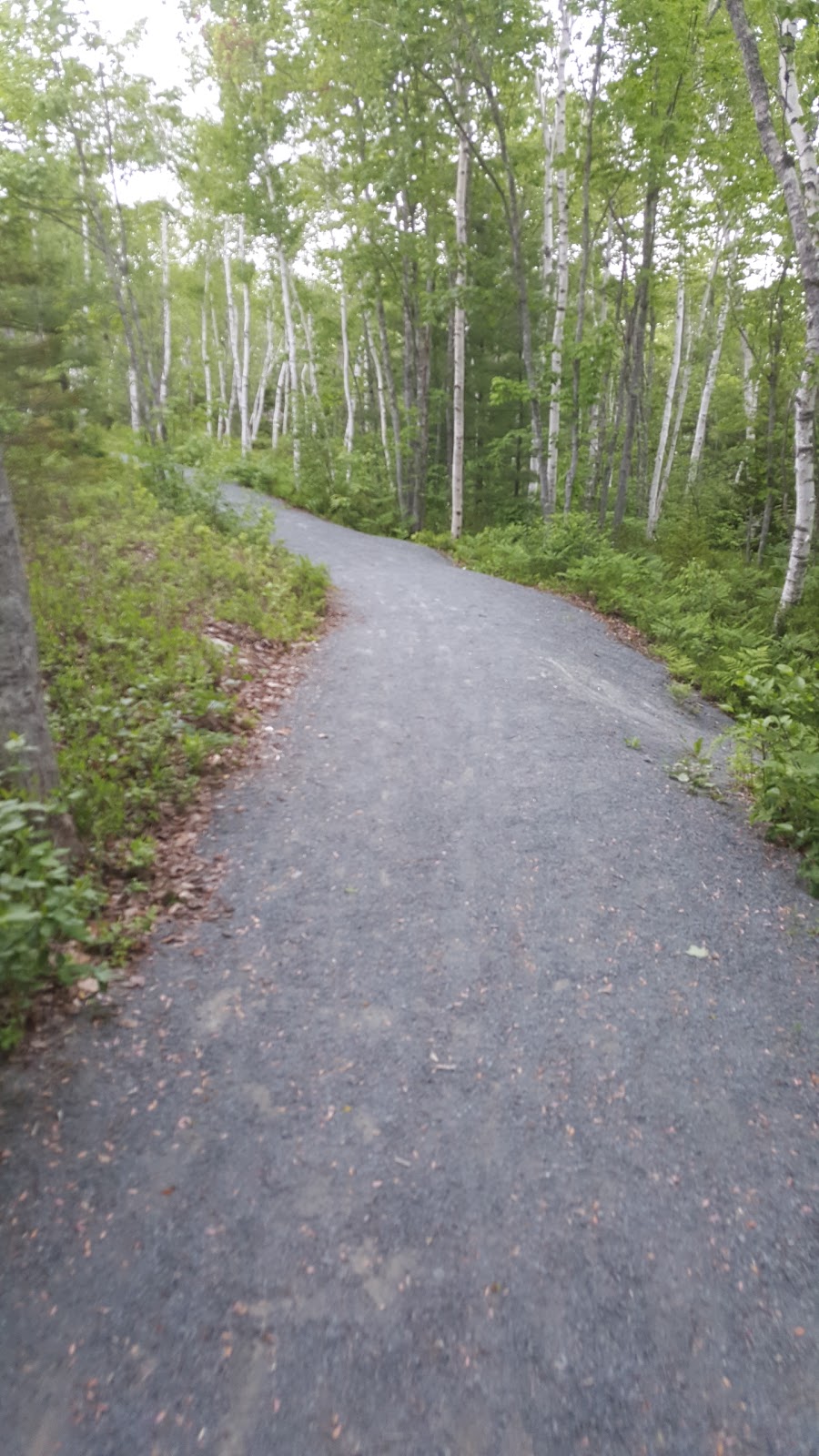 Tyler Samson Park | 303 Gary Martin Dr, Bedford, NS B4B 1G9, Canada