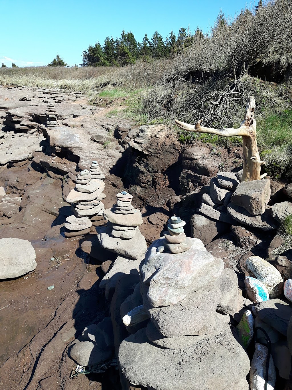 Éditions du Phare | 1234 All. des Hirondelles, Cap-Pelé, NB E4R 1N7, Canada | Phone: (506) 577-6160