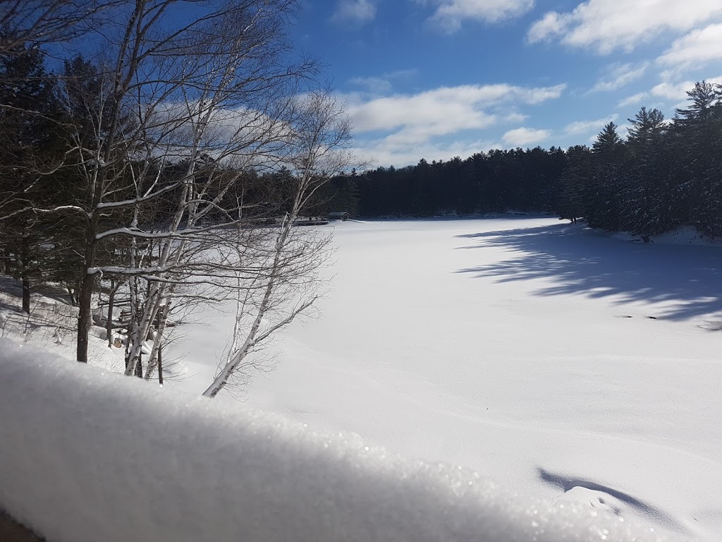 Pleasant View Cottage | 1137 Jones Rd, Algonquin Highlands, ON K0M 1J1, Canada | Phone: (416) 684-3317