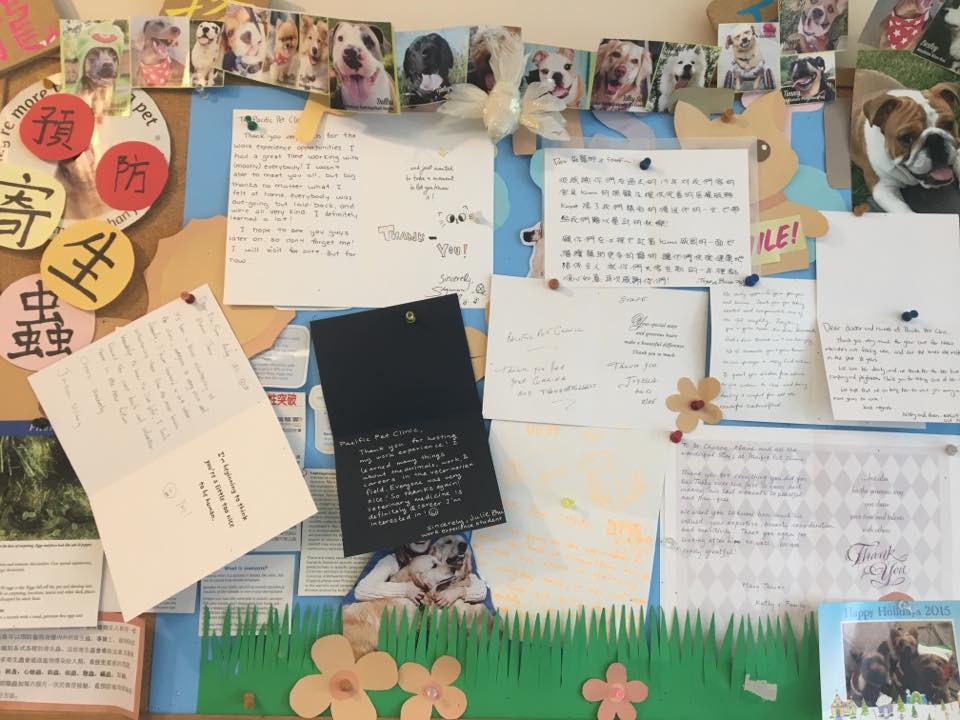 Pacific Pet Clinic 溫哥華長青寵物醫院 | 3628 Kingsway, Vancouver, BC V5R 5M2, Canada | Phone: (604) 437-3799
