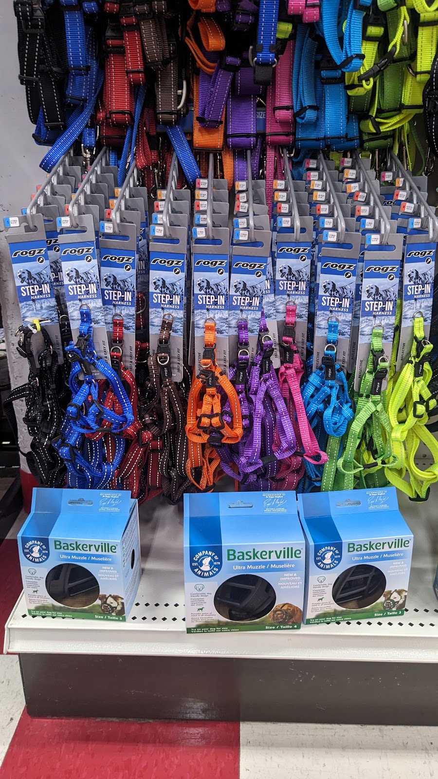Global Pet Foods Bank St | 1176 Bank St, Ottawa, ON K1S 3X9, Canada | Phone: (613) 422-6741