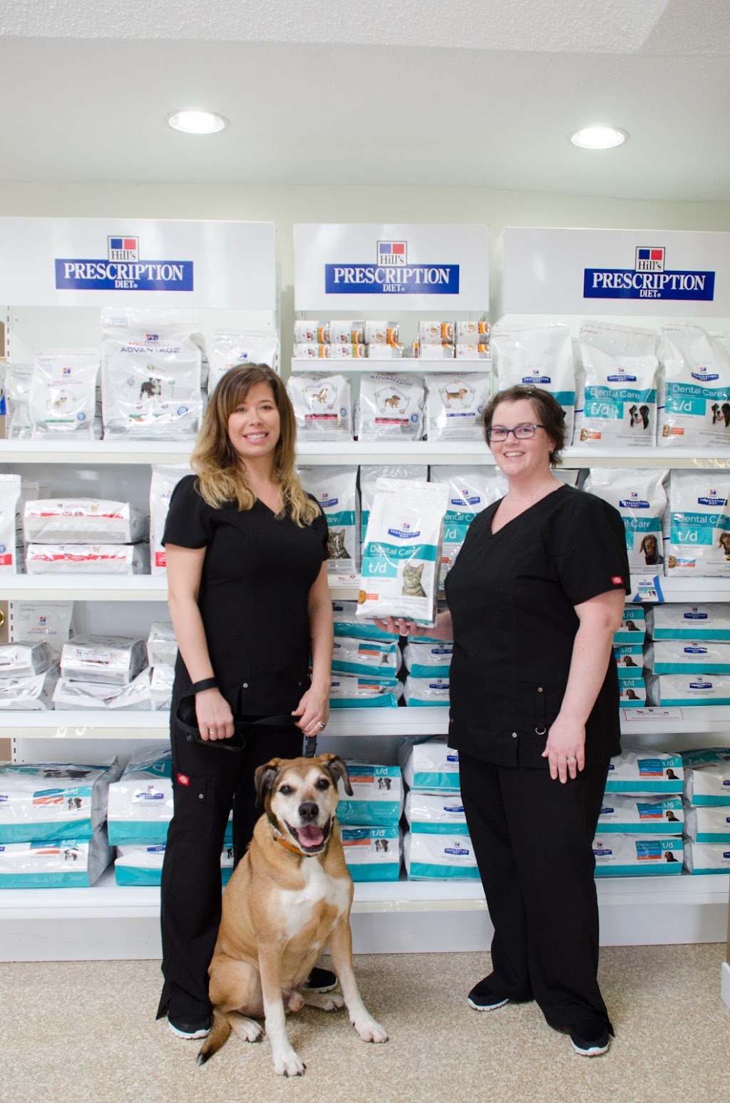 Firth Veterinary Hospital | 4499 Wellington Rd S, London, ON N6E 2Z8, Canada | Phone: (519) 681-4377