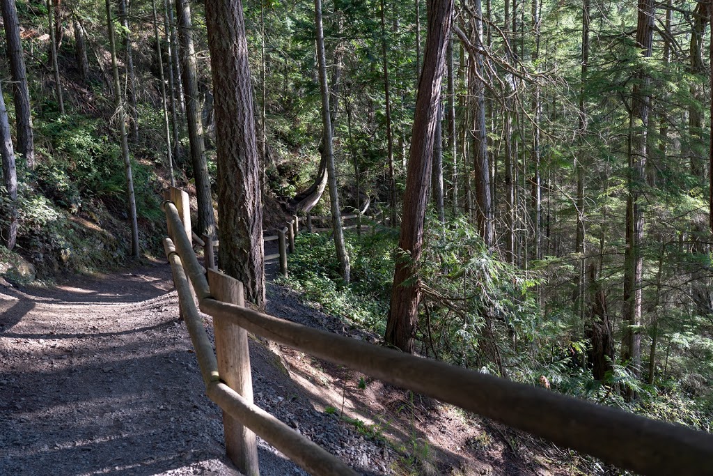 Pacific NW Trail | Pacific NW Trail, Oak Harbor, WA 98277, USA