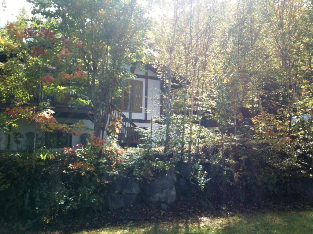 Chalet Petit Chantecler | 109 Rue de Montreux, Val-David, QC J0T 2N0, Canada | Phone: (514) 296-7465
