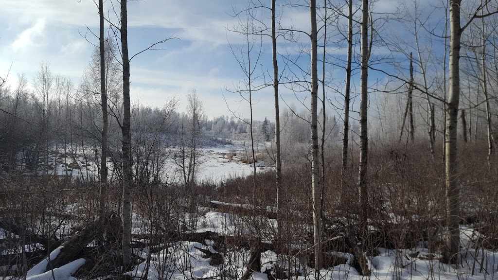 Cooking Lake-Blackfoot Provincial Recreation Area | Beaver County, AB T8G 1G2, Canada