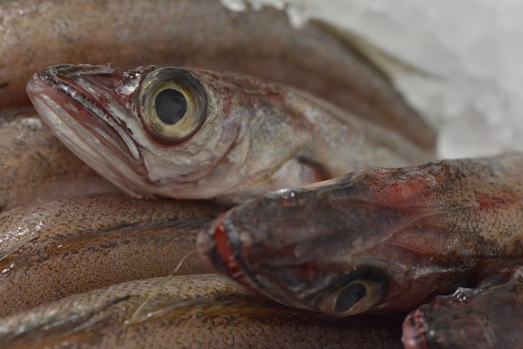 Poissonnerie Québec Océan | 1699 Route de lAéroport, LAncienne-Lorette, QC G2G 2P4, Canada | Phone: (418) 874-7773