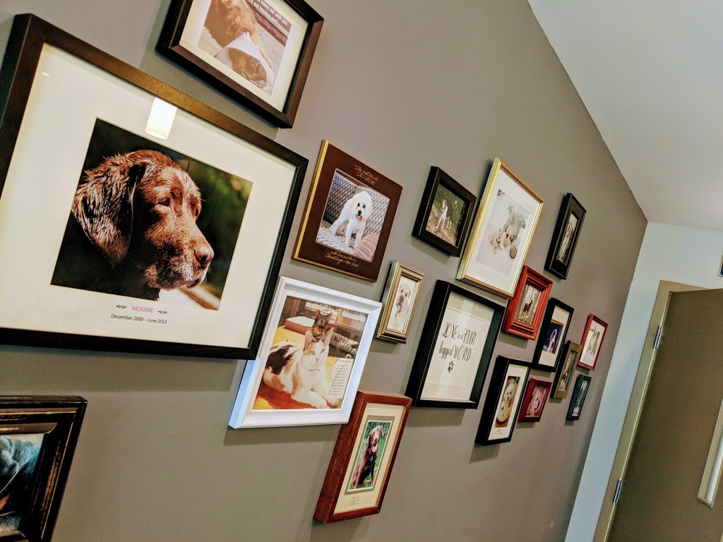 VCA Canada Don Mills Veterinary Practice | 25 Scarsdale Rd, North York, ON M3B 2R2, Canada | Phone: (416) 444-8495