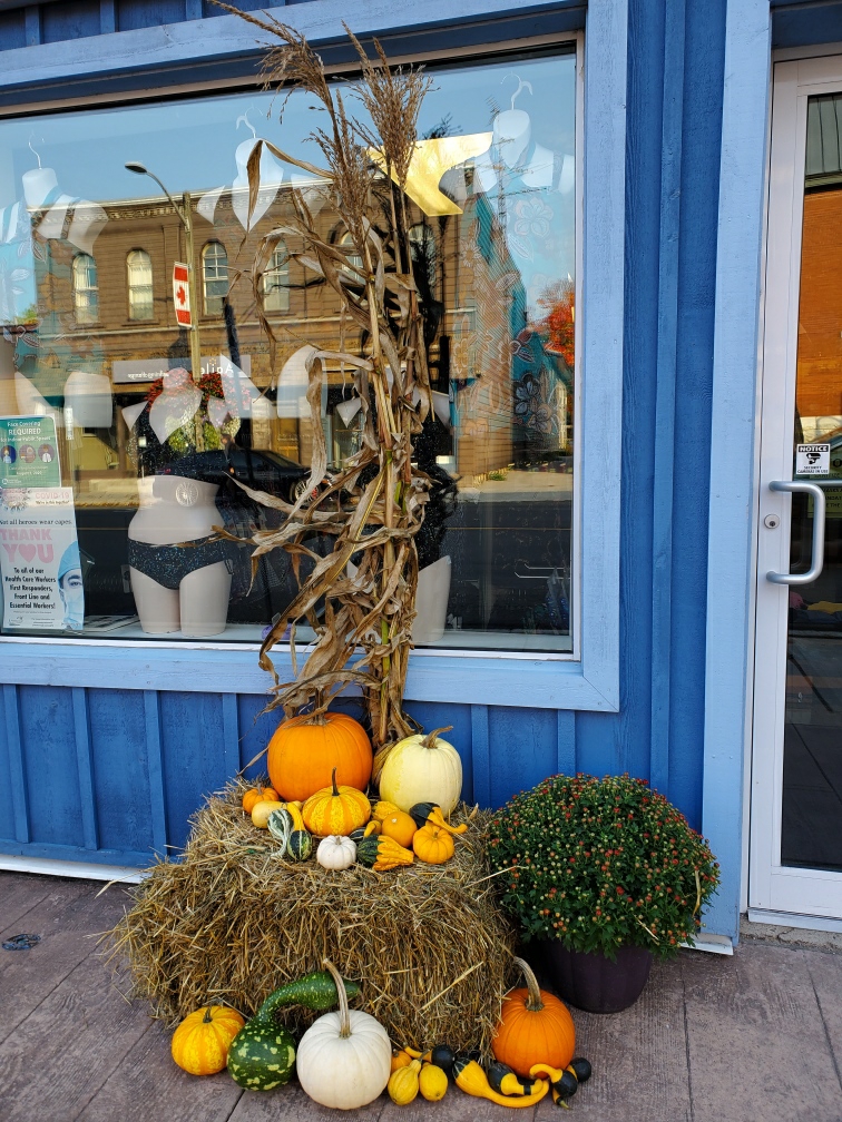 Sunblockers | 23 Queen St, Lakefield, ON K0L 2H0, Canada | Phone: (705) 652-3415