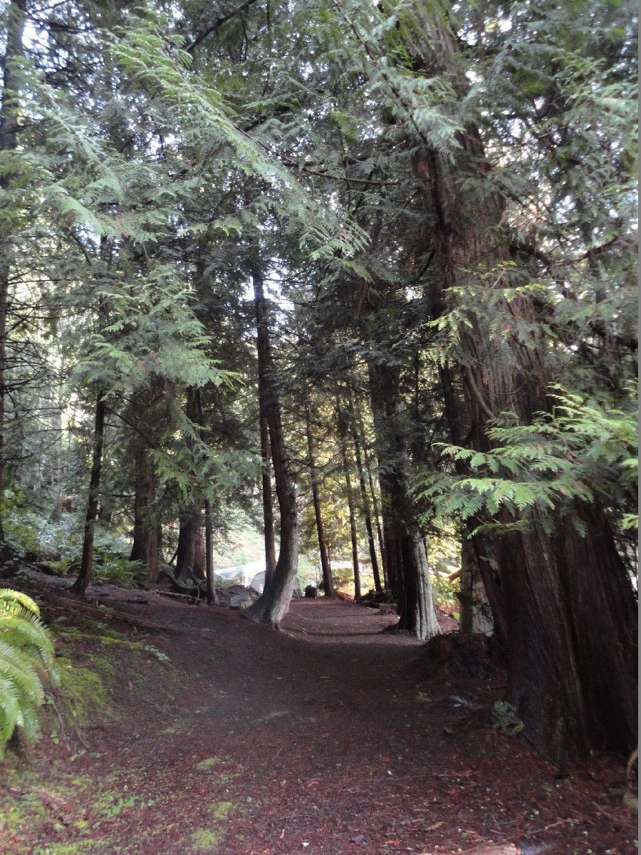 Gulf Island Film & Television School | 9980 Porlier Pass Rd, Galiano Island, BC V0N 1P0, Canada | Phone: (250) 539-5729
