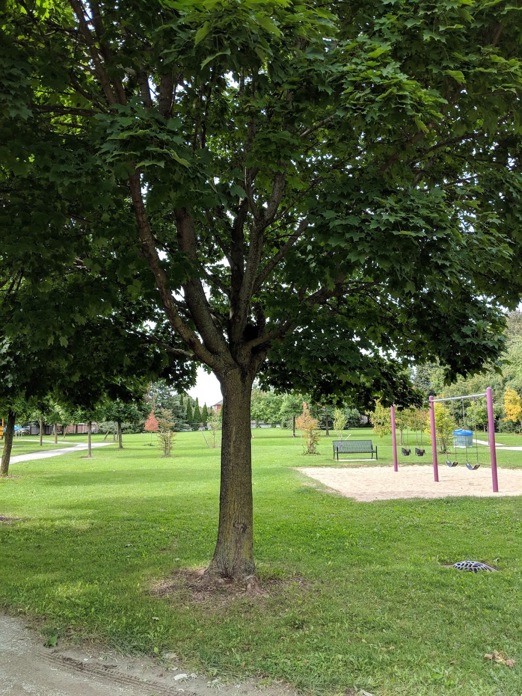 Elson Park | 174 Elson St, Markham, ON L3S 3C9, Canada | Phone: (905) 415-7535